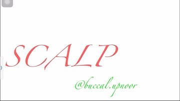 SCALP | part 1 | Human Anatomy | Head & neck | FIRST YEAR