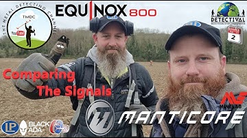 Minelab Manticore VS Equinox 800 | Detectival Day 2 | Field Test