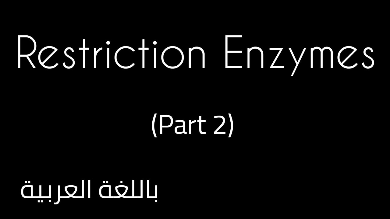 Restriction Enzymes بالعربي|Nucleases|sticky-Blunt-end|Nomenclature