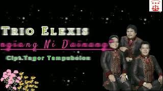 Tangiang  Ni Dainang ||Trio Elexis ||(Video Lirik )