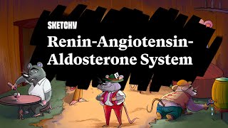 ReninAngiotensinAldosterone System (Part 1) | Sketchy Medical | USMLE Step 1