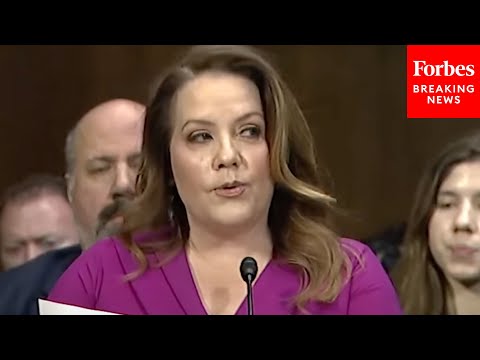 The Unexpected Truth About Mollie Hemingway's Twitter Presence