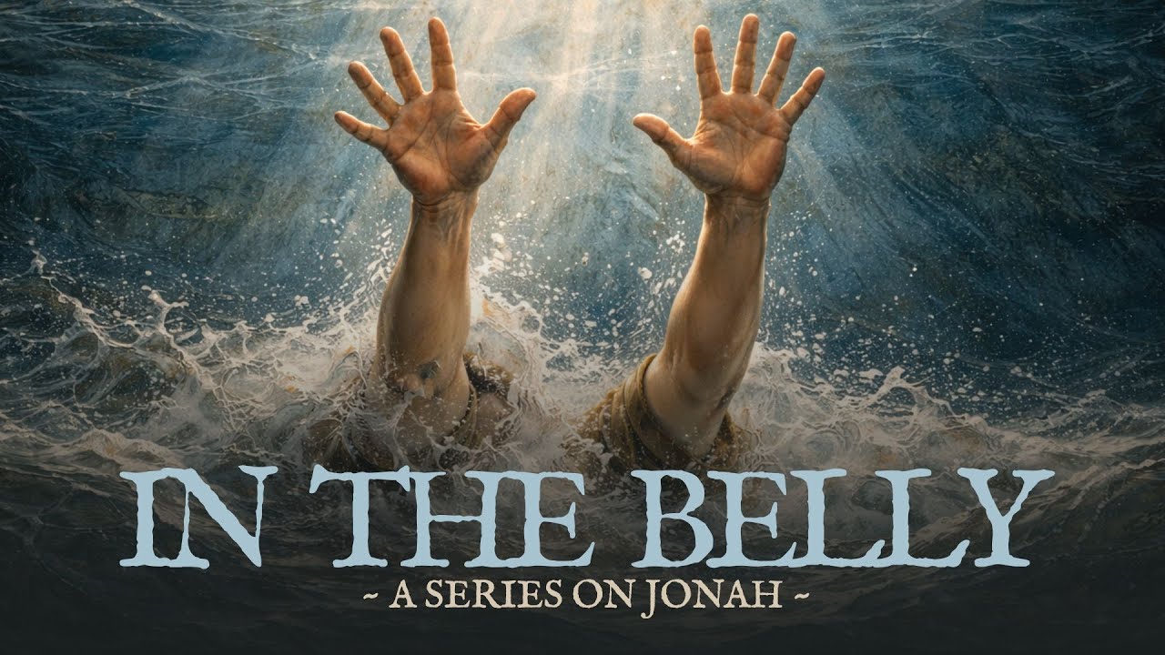 In The Belly