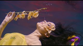 APHRODITE - Stive Morgan