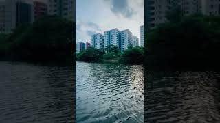 shs love vlogwithsohelvillagelifestyleinbangladeshbeautiful rilsquad lifeisbutadream