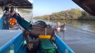 Set traps and fish for 2 days, catch lots of big shrimp, then cook and sell them immediately
