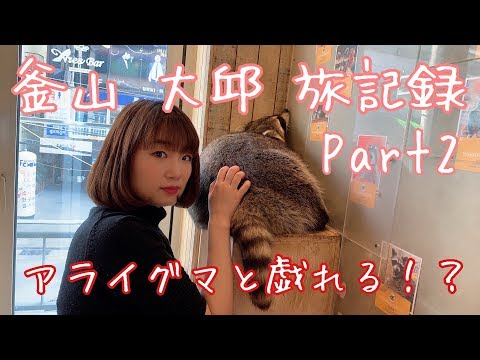釜山 大邱 旅記録Part2〜アライグマカフェ〜