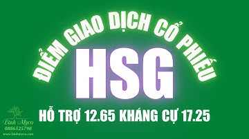 Cổ phiếu HSG, Công ty Cổ phần Tập đoàn Hoa Sen