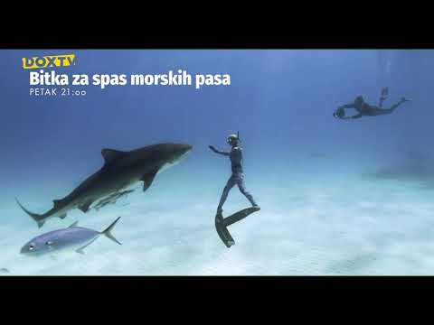 Bitka za spas