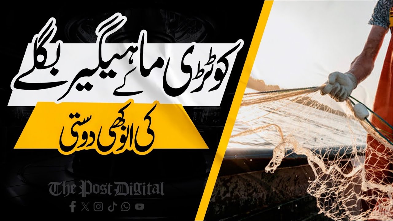 Kotri Fisherman Majeed Mallah’s Unique Friendship with a Heron | A Heartwarming Story