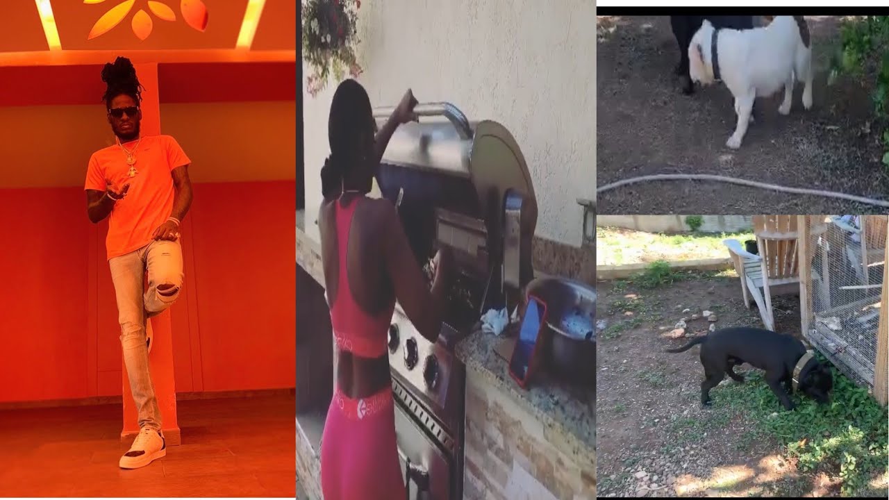 Aidonia show off his Mansion back yard Garden and  Pitbull dogs
