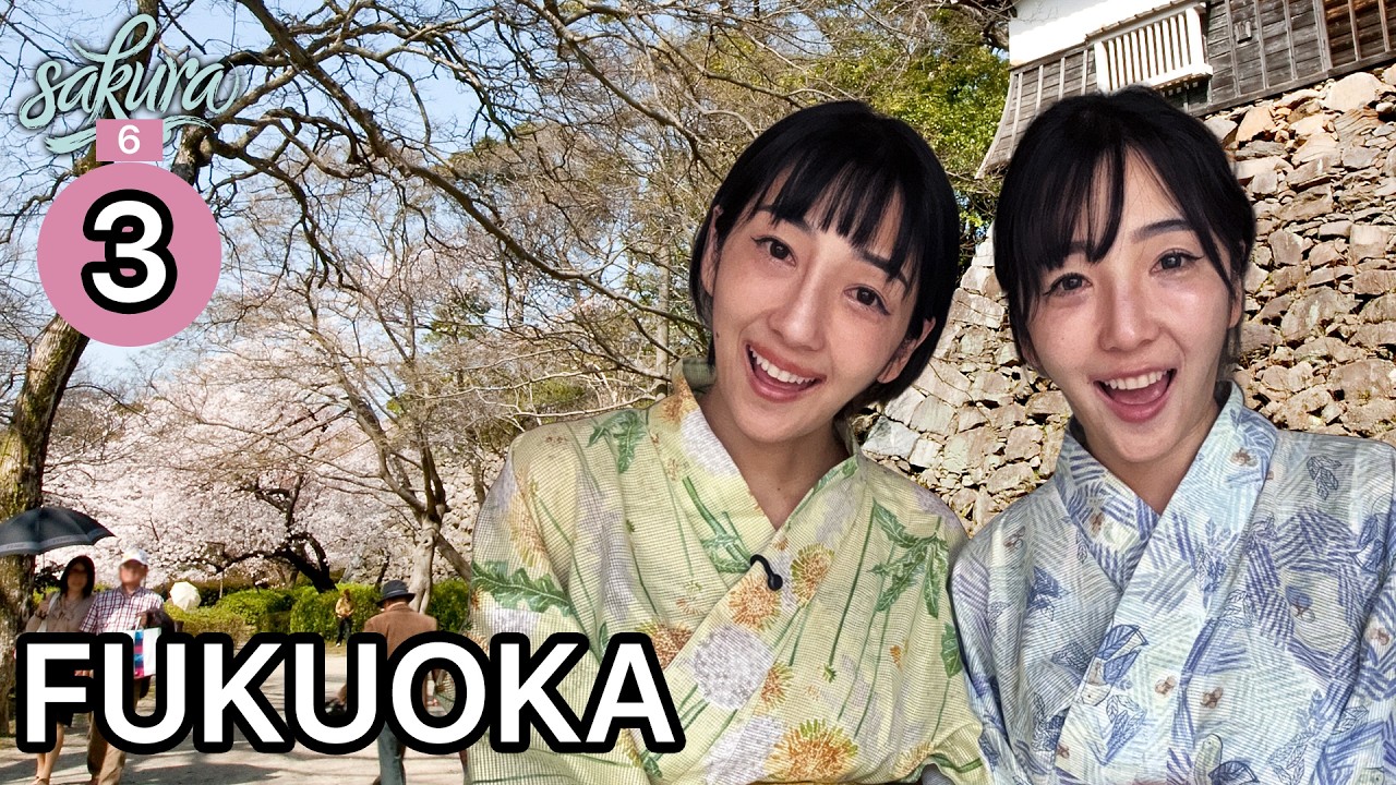 Japan Live 🇯🇵 FUKUOKA 福岡 🌸 SAKURA 花見 2026 1 Month Journey