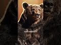 POV: Próbáltam ezzel vitatkozni. Nem ment 🧠🍯 #comedy #medve #magyarhumor #standupcomedy 🌦️🌲🍎🐻