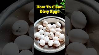Famous How To Clean Dirty Eggs😧 #tips #trick #hack #fyp #explore #viral #shorts #yt #youtube #like #share Profile