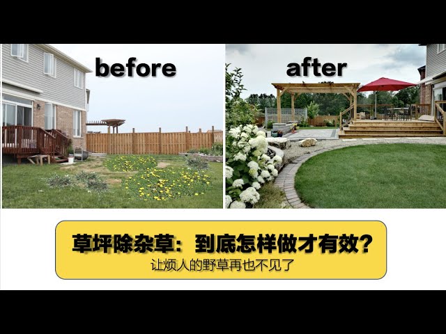 草坪除杂草 25 园艺 草坪都是杂草了该怎么办 除草剂 拔草 换草皮 哪样有效 让杂草彻底消失吧 Youtube