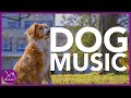 Dog Music: Instant Home Relaxation Playlist for Dogs (NEW)