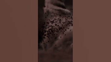 tornado  destruction #vfx #houdini #simulation