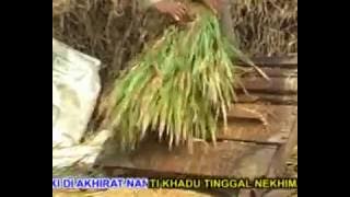 DUNIA - ARIFIN M - DANGDUT LAMPUNG