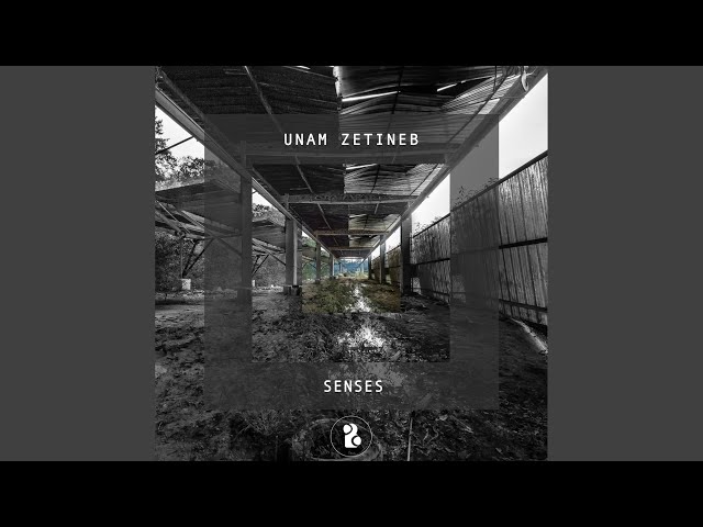 Press (Original Mix)