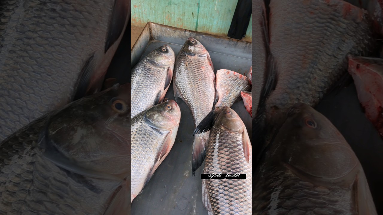 Amezing Fish 🐟 cutting skill #shorts #fishing #fish #fishcurry