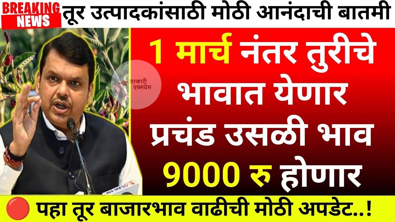 1 मार्च नंतर तुरीला 9000 रु भाव| tur bajar bhav akola|Tur bajar bhav jalana|tur bhav today