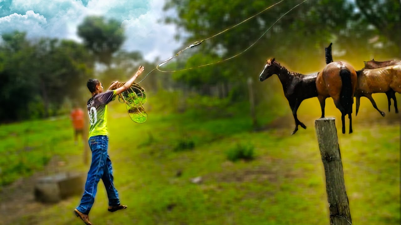 MEU CAVALO FUGITIVO ESCAPOU DENOVO * Tive que pegar no laço *