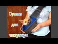 Сумка- переноска для собак🐕/Примерка сумки для чихуахуа🐶👍/Сумка слинг для собак