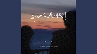 有一种遗憾叫我们 (Dj沈念版)