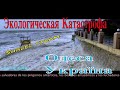 #Экологическая катастрофа. #Одесса. #Украина #Черное море.  #Perfect storm.