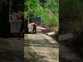 menaikan kayu #shortvideo