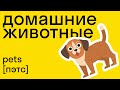 Домашние животные на английском, учим вместе! Легко со skysmart!