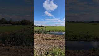 Rural scenery