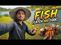riverside fish catch and cook | Fishing rod | fish fry |  river fishing. #fishing #cooking
