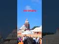 🚩 Jagannath Temple Darshan 🙏 | Puri Jagannath Mandir Shorts | Divine Experience #shorts