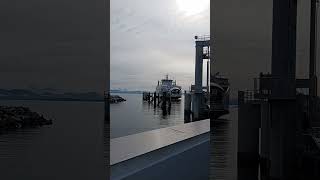 Little River Ferry Terminal Comox BC May 13th 2024 - Sea Lions and Snowbirds #rvlife