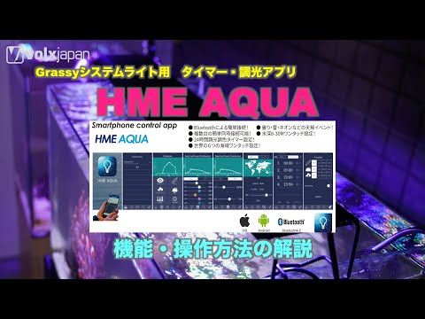 ボルクスジャパン グラッシーウィング2 60 マリン マリン