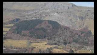 Amazing Celtic Triquetra (Symbol of the Trinity) Appears in Irish Forest