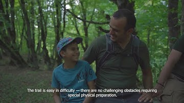 Project “Foresters