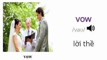 ✅Từ Vựng Tiếng Anh Về Đám Cưới Phần 1 Học Từ Vựng Online