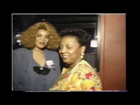 The 1993 Chicago Blues Festival
