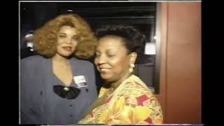 The 1993 Chicago Blues Festival