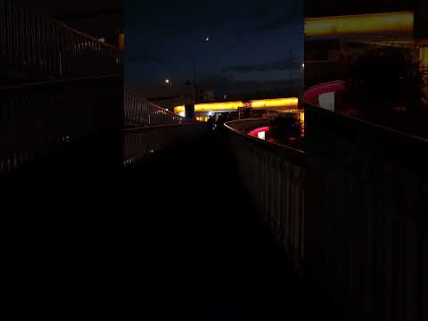 پل شهدای پدونک شیراز پیاده روی قدم زدن پل شیراز قدم زدن ایران یوتیوب