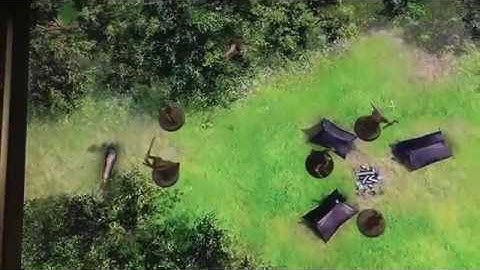 Camp in the woods (day and night, grid and gridless versions)