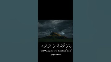 ﴿ولقد خلقنا الإنسان ونعلم ما توسوس به نفسه ونحن أقرب إليه من حبل الوريد﴾[سورة ق، الآية 16]  المنشاوي