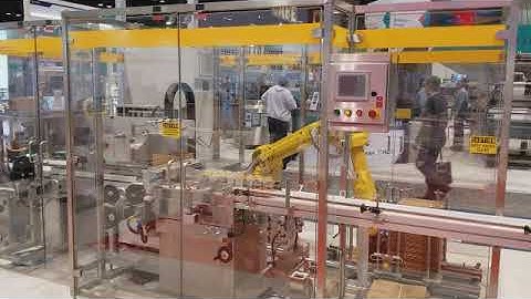 Robotic Case Packer for Cans of Craft Beer