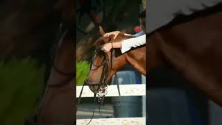 Freedom lover!!❤Girl horse riding 🥰🥰🥰/KK singer/tu mujhse fir na ruthna song/