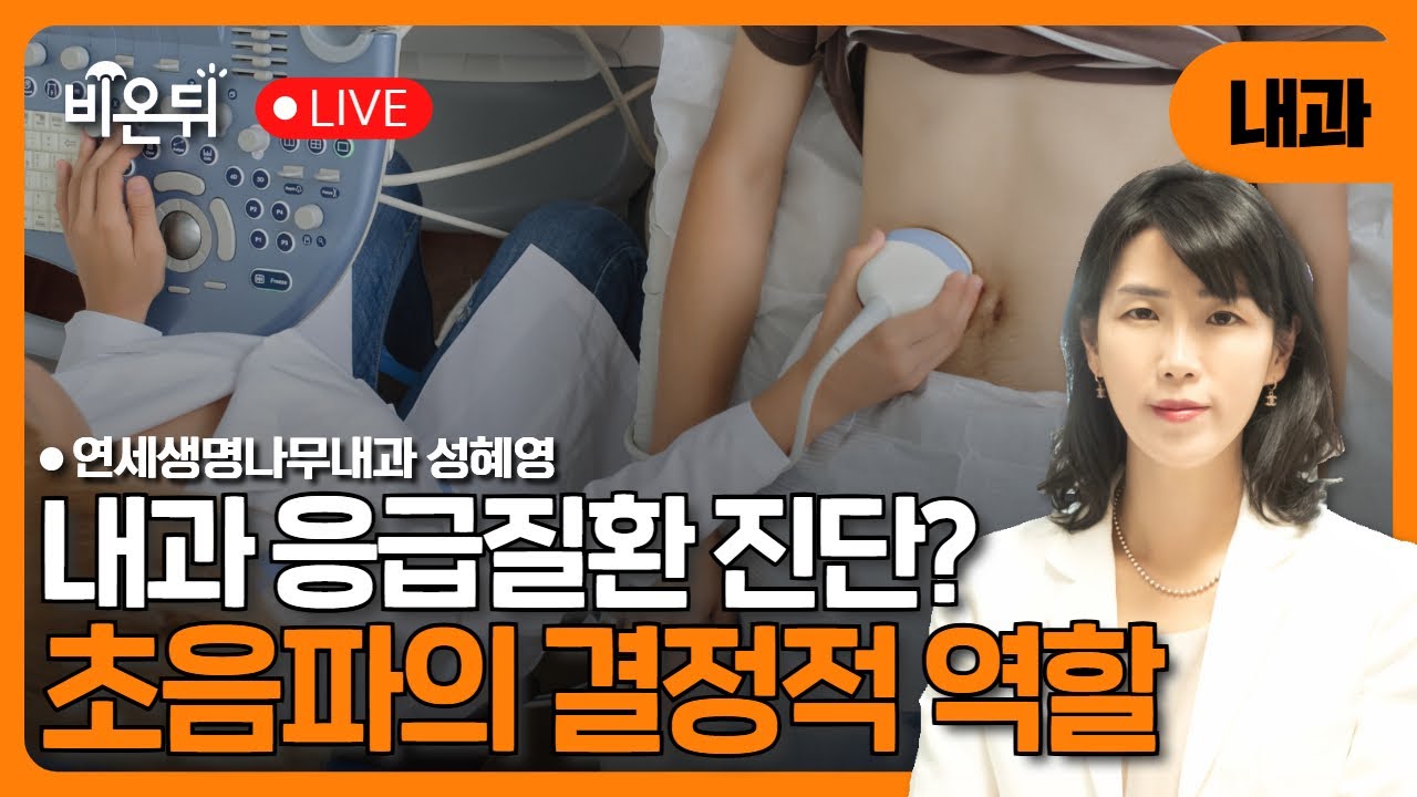 내과 응급질환 진단? 초음파의 결정적 역할 / 연세생명나무내과 성혜영