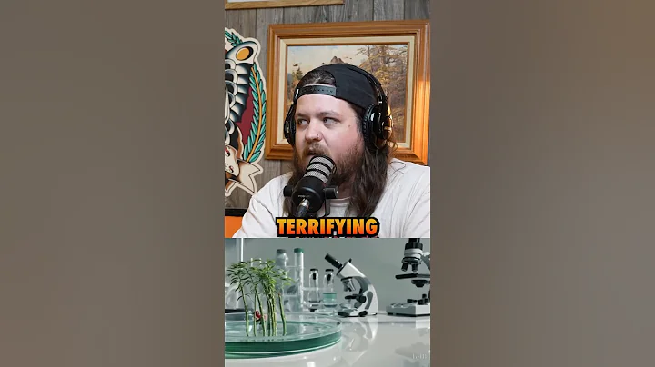 Ep.79 AI is advancing to fast?? #ninjasarebutterflies #podcast #comedy #sundaycool