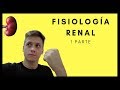 🔹Introducción a la FISIOLOGIA RENAL I IRRIGACIÓN▶️1 Parte ▶️super FÁCIL!!😱 - CURSO COMPLETO ABAJO!