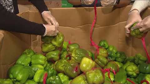 San Diego Food Bank's annual food drive underway, addressing food insecurity